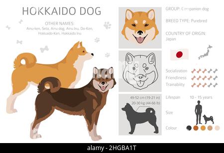 Hokkaido Dog, Ainu Dog Clipart. Different Poses, Coat Colors Set 