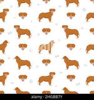 Nova Scotia duck tolling retriever semless pattern. Different poses, coat colors set.  Vector illustration Stock Vector