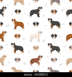 Olde English Bulldogge, Leavitt Bulldog  seamless pattern. Different poses, coat colors set.  Vector illustration Stock Vector