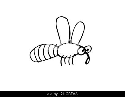 Flying bee. Outline sketch. Funny comical insect. Hand drawing is isolated on a white background. Vector Stock Vector