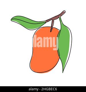Hand drawn vector illustration of a mango in single line style. Cute illustration of a fruit on a white background Stock Vector