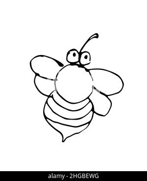 Fat bumblebee. Outline sketch. Funny comical insect. Hand drawing is isolated on a white background. Vector Stock Vector