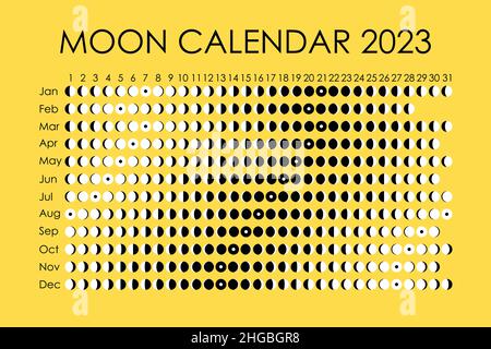 2023 Moon calendar. Astrological calendar design. planner. Place for stickers. Month cycle planner mockup on color background Stock Vector