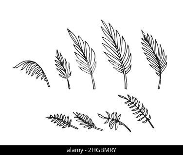 Set of leaf rainforest. Tropical plant. Hand drawing outline. Isolated on white background. Sketch of exotic plants. Vector Stock Vector