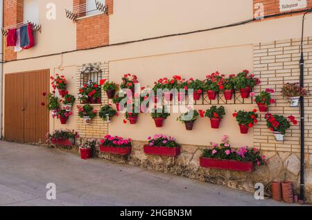 Wall of a private house in the village of Caleruega filled with pots of red and pink flowers, Burgos, Castilla y León, Spain. Stock Photo