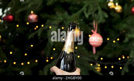 Man hands open bottle of champagne on decorated Christmas tree background, New Year celebration concept. Man hands uncorking sparkling wine bottle in Stock Photo