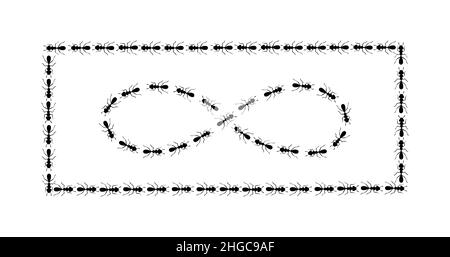 Ants path shaping infinity sign and square boder. Black ant trail isolated in white background. Vector illustration Stock Vector