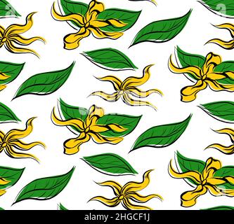 Seamless pattern with drawing tropical flowers ylang ylang and foliage on white background. Vector texture with sketch floral ornament in cartoon styl Stock Vector