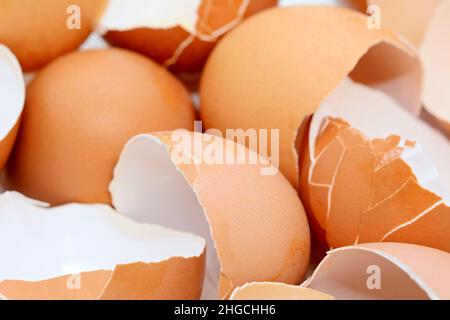 Cracked brown egg shells closeup, full frame background. Stock Photo