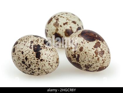 Quail eggs isolated on white background with clipping path Stock Photo