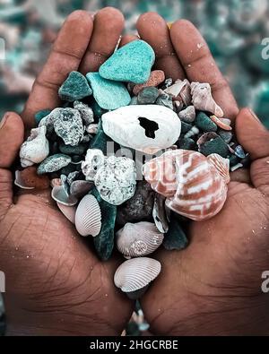 Different Types Of Sea Shells In The Hand Stock Photo