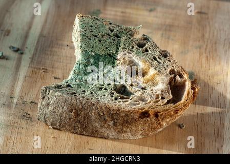 The old mold on the rye bread. Spoiled food on wooden board Mold on food Stock Photo