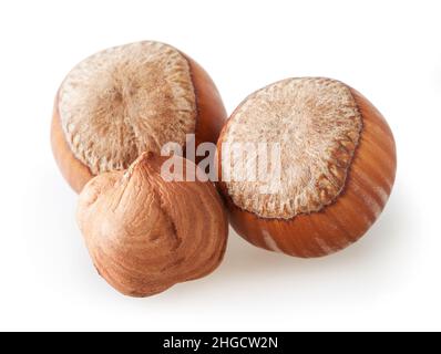 Filberts isolated on white background with clipping path Stock Photo