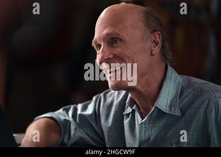 ED HARRIS in THE LOST DAUGHTER (2021), directed by MAGGIE GYLLENHAAL. Credit: Endeavor Content / Album Stock Photo