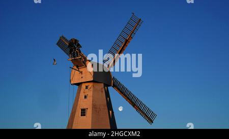 Willesborough Windmill, a white smock mill built in 1869 is bathed in the morning sunshine as the moon sets behind in Ashford, Kent. Picture date: Thursday January 20, 2022. Stock Photo