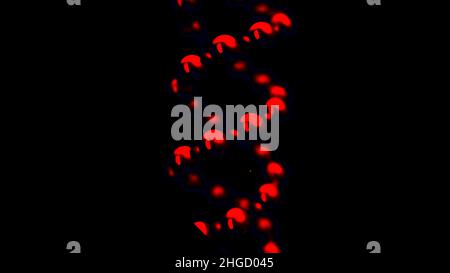 Abstract DNA double helix of dark red color rotating on black background, seamless loop. Concept of futuristic science and medicine. Stock Photo