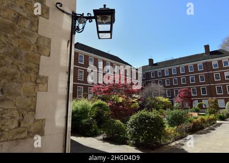 Pump Court and Elm Court Gardens, Middle Temple Lane, Temple legal district, City of London, United Kingdom Stock Photo