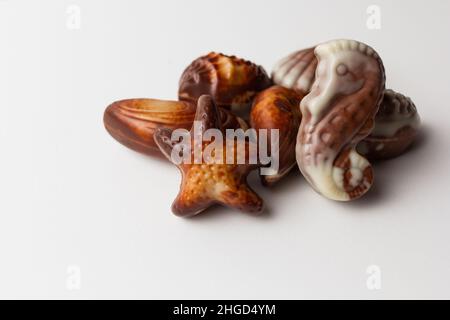 Chocolates seashells isolated on white background. Stock Photo