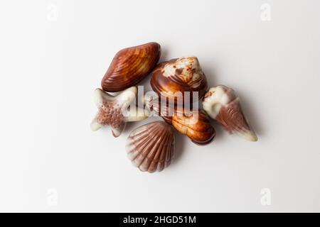 Chocolates seashells isolated on white background. Stock Photo