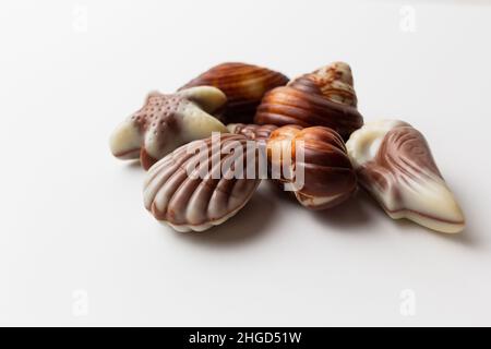 Chocolates seashells isolated on white background. Stock Photo