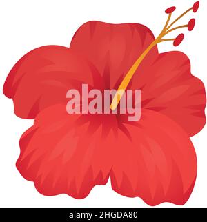 Tropical red hibiscus flower on dark black and gold background vector ...