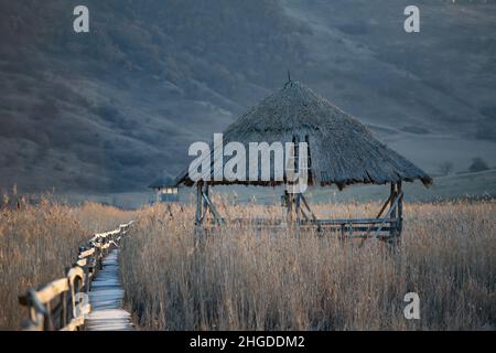 Old wooden boardwalk and watchtower in the Sic reed reservation,Cluj ...