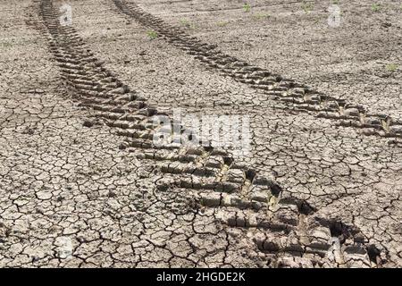 Tractor tracks through a dry barren field during drought on a UK farm. Background, texture or pattern depicting concepts of global warming and climate Stock Photo