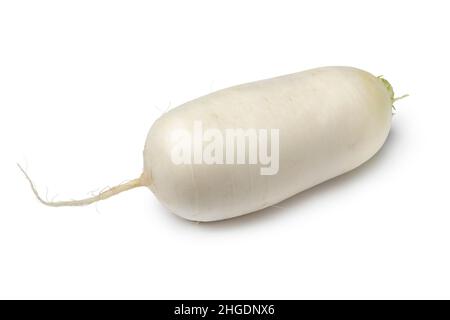 https://l450v.alamy.com/450v/2hgdnx6/single-fresh-white-whole-daikon-radish-isolated-on-white-background-close-up-2hgdnx6.jpg