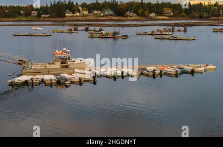 a lobster boat unloads at the pier in harbor where motor boats line up moored at a long pier Stock Photo