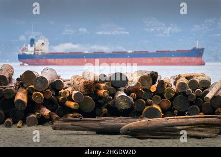 Logs on Beach after Storm. Logs stacked on a Vancouver beach after king tides and a winter storm brought them ashore. Stock Photo