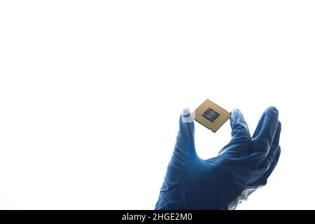 Hand in blue glove holding computer microchip Stock Photo