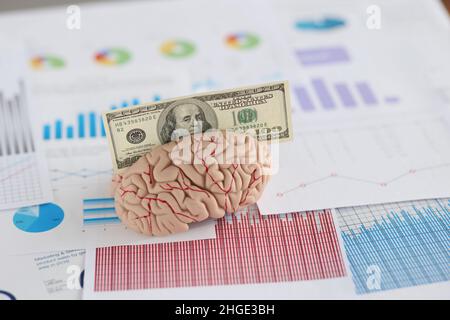 Banknote fit in anatomical model of human brain, miniature put on business papers Stock Photo