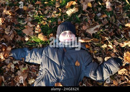 Child lying on autumn leaves in park Stock Photo