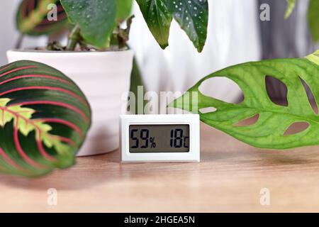 Hygrometer and thermometer device to measure humidity and temperature for houseplants Stock Photo