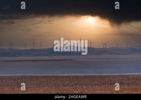 Photograph of large Wind Turbines in a row along a hill ridge line around Lake George in New South Wales in Australia Stock Photo