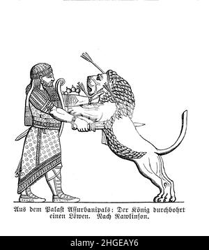 Assyrian king Ashurbanipal kills a lion in ritual lion hunts reserved to Assyrian royalty Stock Photo