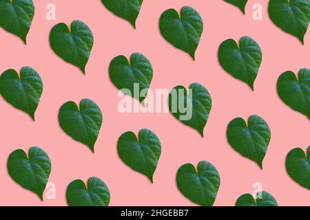 Heart shaped leaves pattern on pink background Stock Photo
