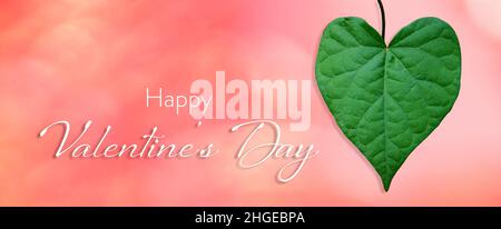 Happy Valentines Day card with heart shaped leaf on pink background Stock Photo