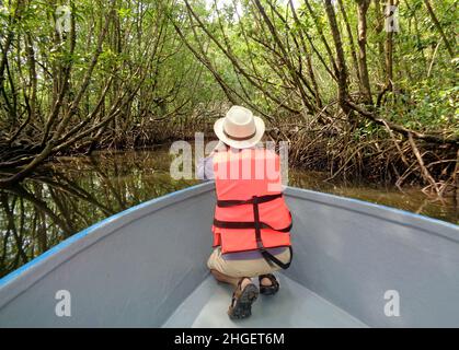 Man On the Boat Among Ban Tha Ranae Mangrove Forest in Trat Province, Eastern Region of Thailand Stock Photo