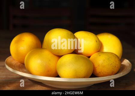 Grapefruits. Yellow ripe grapefruits on wooden plate and on black background. Stock Photo