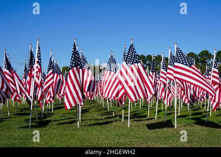 Field of American Flags under a blue sky Stock Photo