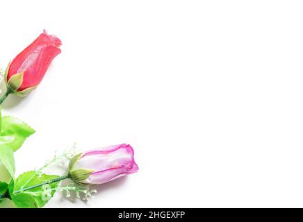 Valentine's Day background. Red and pink plastic roses on white backgrounds. Stock Photo