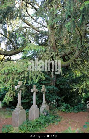 Spooky old graveyard with three stone crosses in a forest Stock Photo