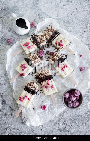 Coconut ice cream popsicles with chocolate and raspberry on grey background. Top view. Stock Photo