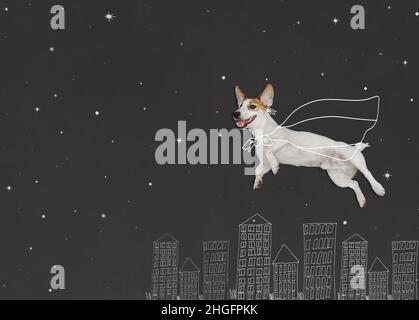 Dog in superhero costume flying in night town, drawing on the blackboard . Super hero winner concept. Stock Photo