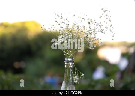 Simple, no clutter boho table bouquet Stock Photo