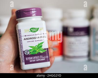 Moscow, Russia - March 09, 2021: Jar with Andrographis capsules in female hand and others nutrition supplements in blurred background. White and purple plastic jar Andrographis by Nature's Way for immune support Stock Photo