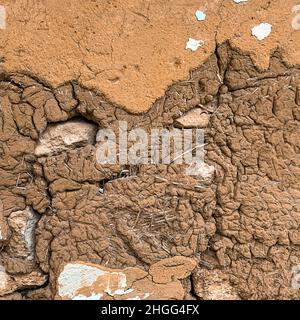 The background is textured stone clay with straw. Adobe. Stock Photo