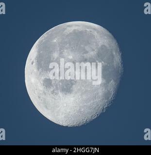 London, UK. 21st Jan, 2022. The waning gibbous moon at sunrise in western sky with still atmospheric conditions clearly showing crater details. Credit: Malcolm Park/Alamy Live News Stock Photo