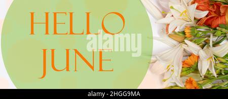 Bouquet of summer flowers and text hello June, banner view from above. Stock Photo